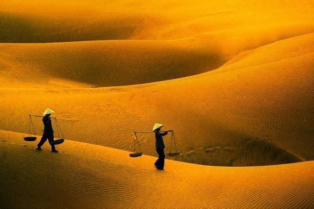 Two people wearing conical hats carrying baskets across golden sand dunes 